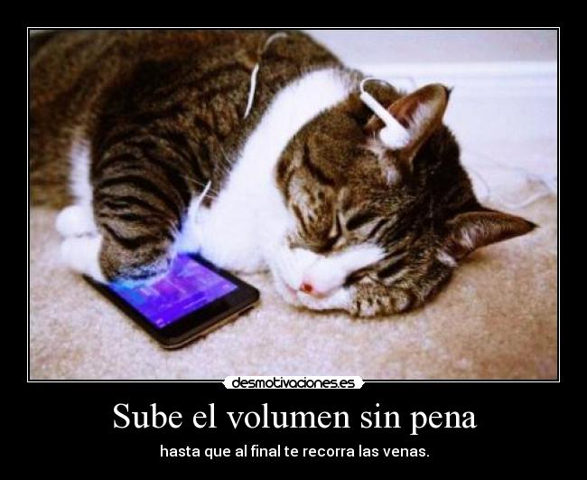 Sube el volumen sin pena - hasta que al final te recorra las venas.