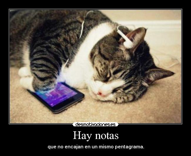 Hay notas - 