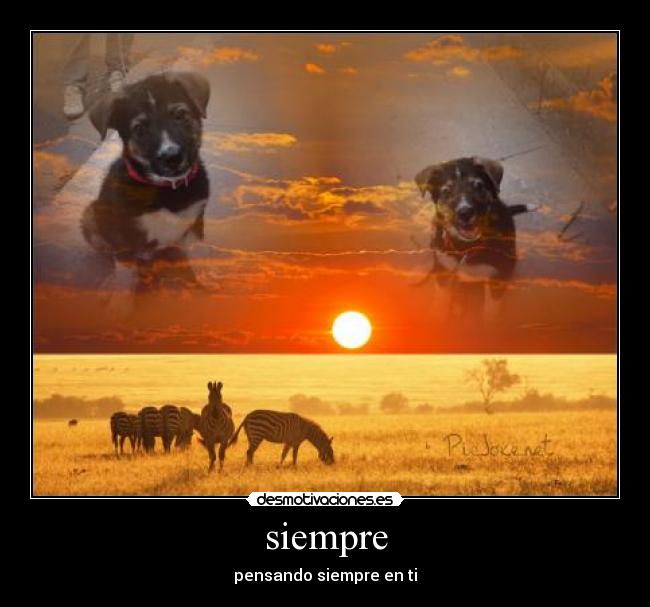 carteles carlitoselnazi desmotivaciones