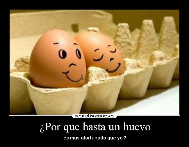 ¿Por que hasta un huevo - es mas afortunado que yo ?