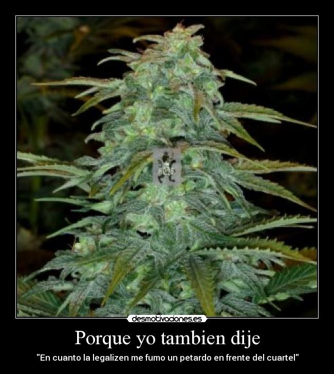 Porque yo tambien dije - En cuanto la legalizen me fumo un petardo en frente del cuartel
