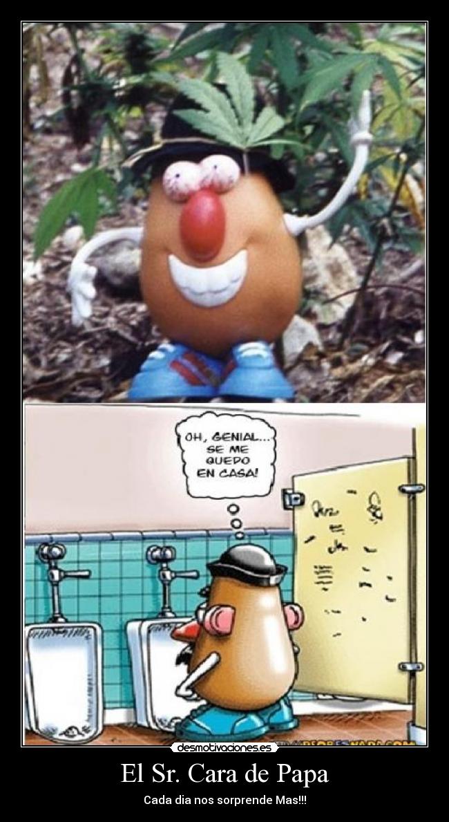 El Sr. Cara de Papa - Cada dia nos sorprende Mas!!!