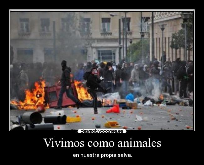 Vivimos como animales - 