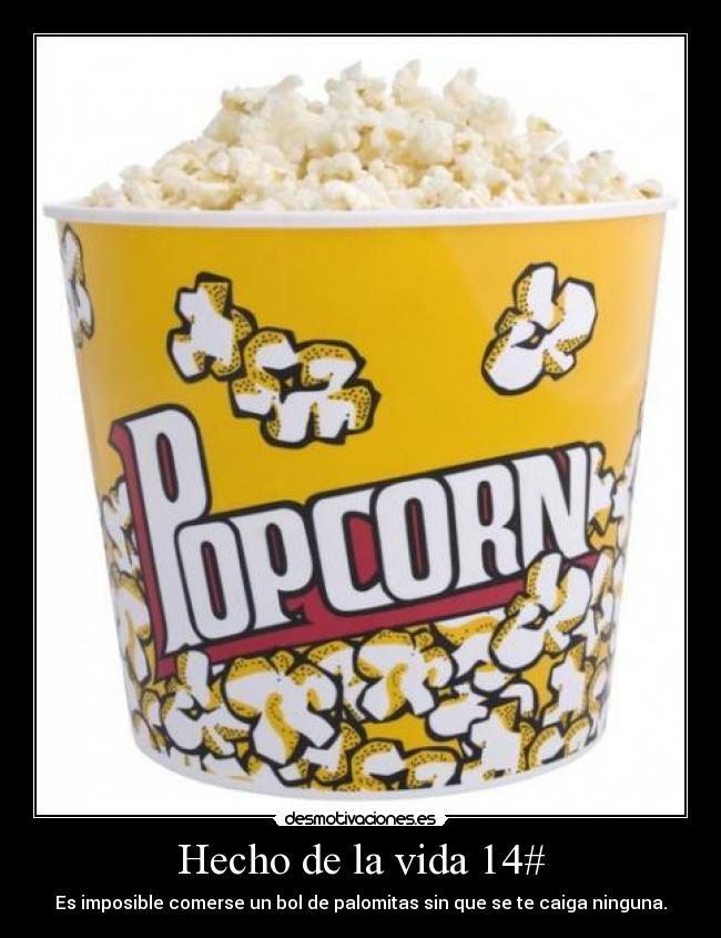 Hecho de la vida 14# -