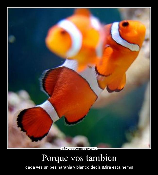 Porque vos tambien - 