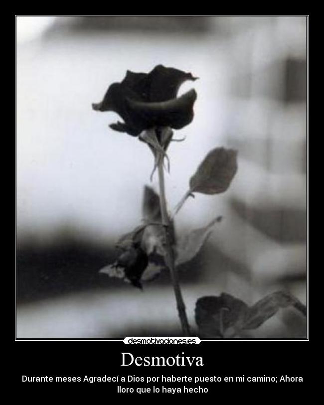 Desmotiva - Durante meses Agradecí a Dios por haberte puesto en mi camino; Ahora
lloro que lo haya hecho