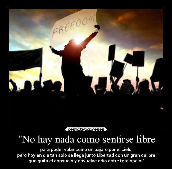 No hay nada como sentirse libre - para poder volar como un pájaro por el cielo,
pero hoy en día tan solo se llega junto Libertad con un gran calibre
que quita el consuelo y envuelve odio entre terciopelo.