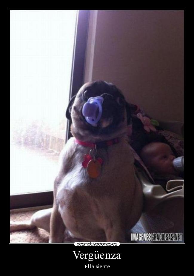Vergüenza -