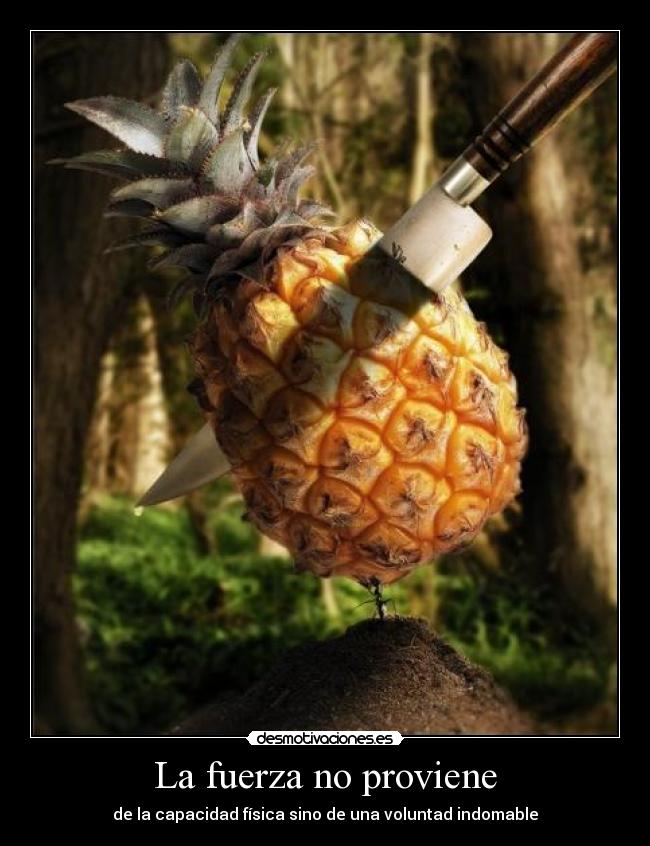 La fuerza no proviene - de la capacidad física sino de una voluntad indomable