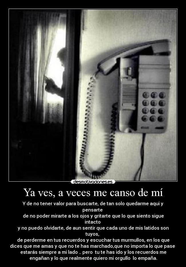 carteles orgullo desmotivaciones