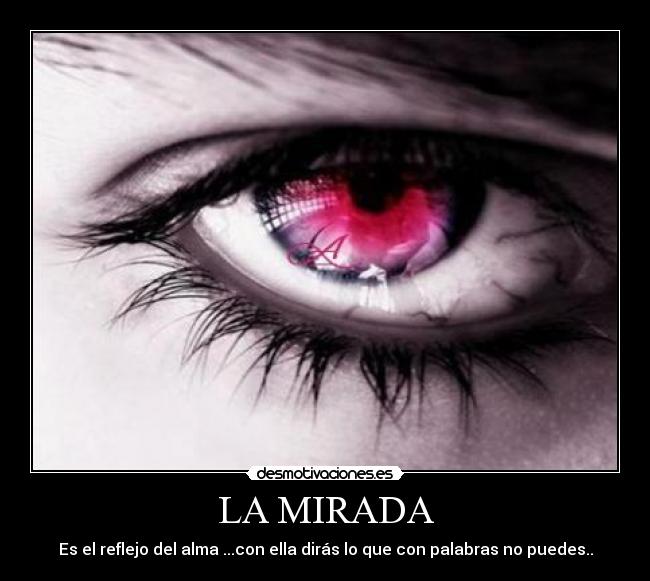 LA MIRADA -
