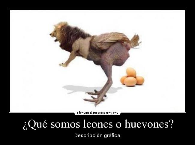 ¿Qué somos leones o huevones? - 