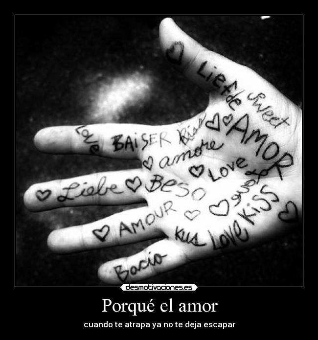 Porqué el amor - cuando te atrapa ya no te deja escapar