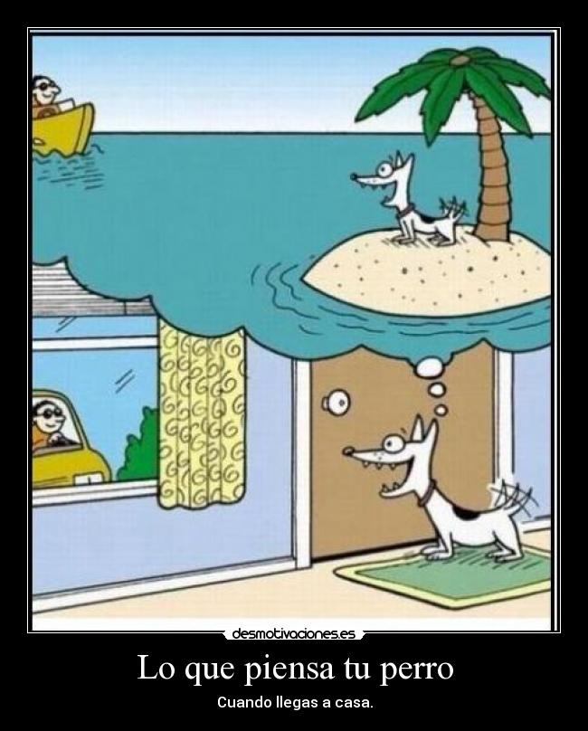 Lo que piensa tu perro - 
