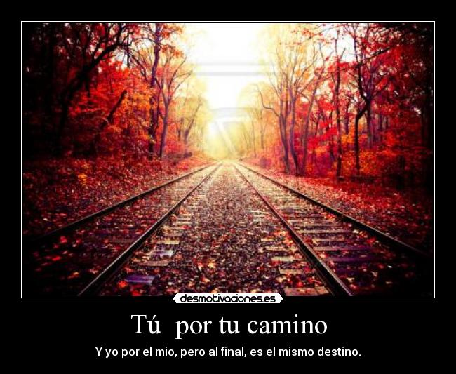 Tú  por tu camino - 