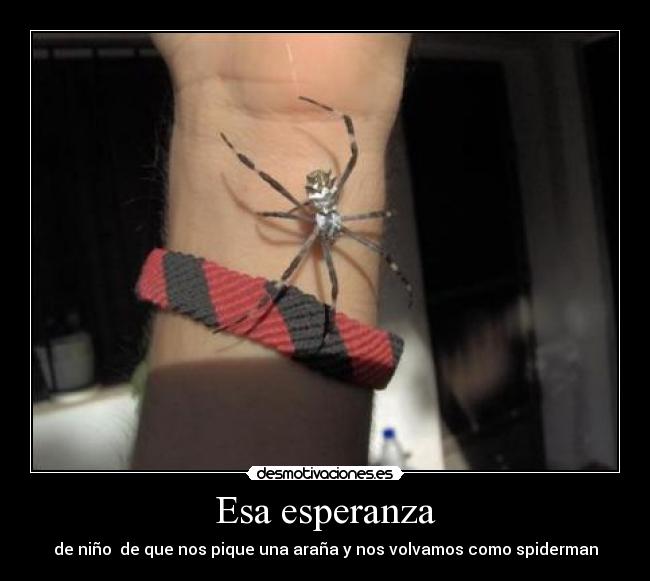 Esa esperanza - de niño de que nos pique una araña y nos volvamos como spiderman