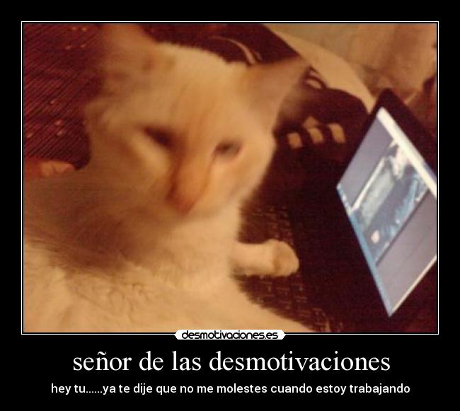 señor de las desmotivaciones - hey tu......ya te dije que no me molestes cuando estoy trabajando