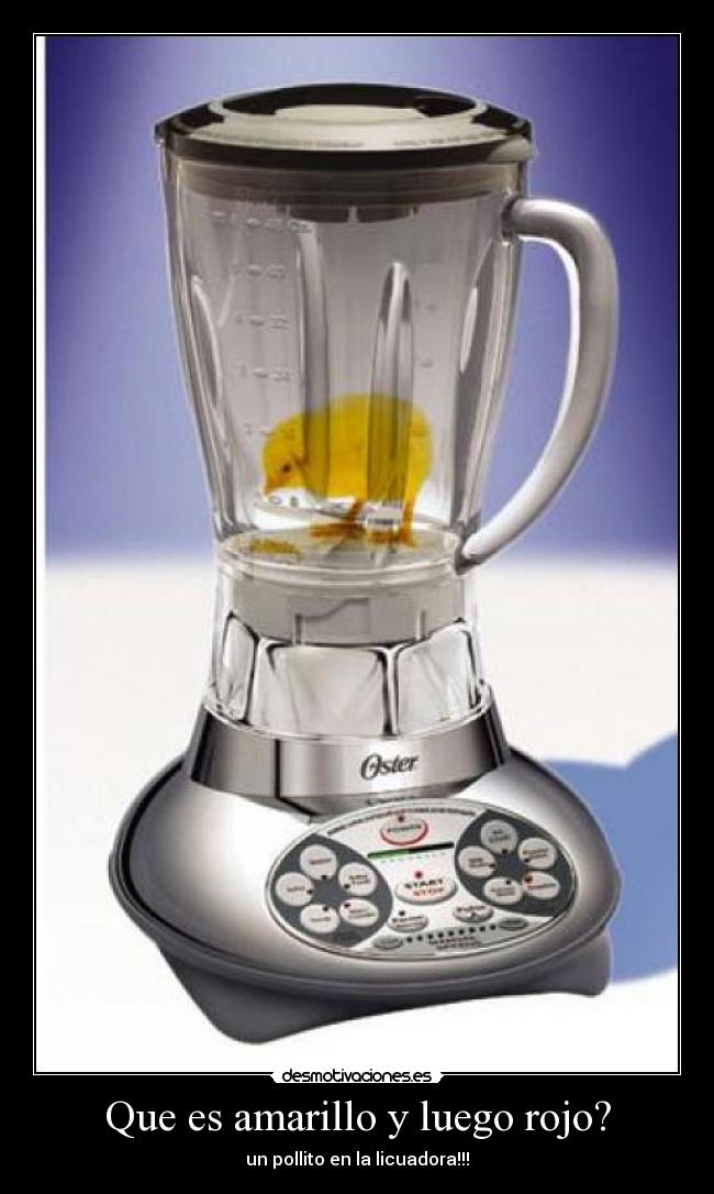 Que es amarillo y luego rojo? - un pollito en la licuadora!!!