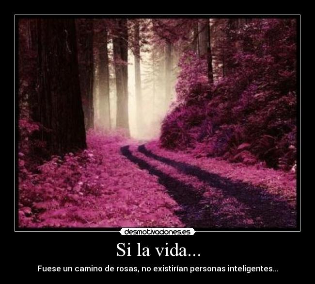 carteles vida wwwwwwwwwwwwwwwwwwwwwwwwwwwwwwwwwwwwwwwwwwwwwwwwwwwwwwwwwwwwwwwwwwwwwwwwwwwwwwwwwwwwwwwwwwwwwwwwwwww desmotivaciones