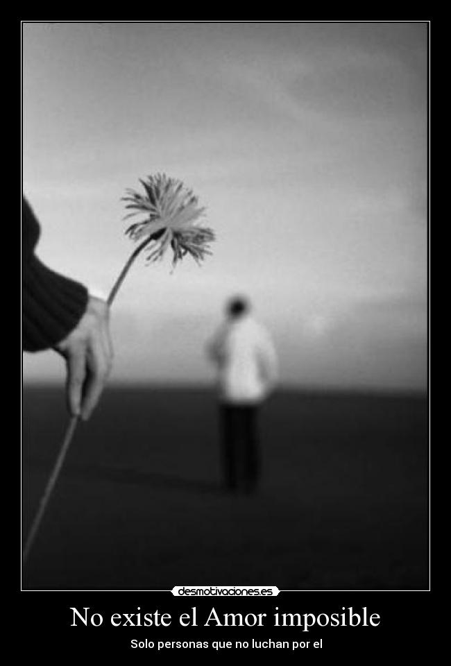 No existe el Amor imposible -