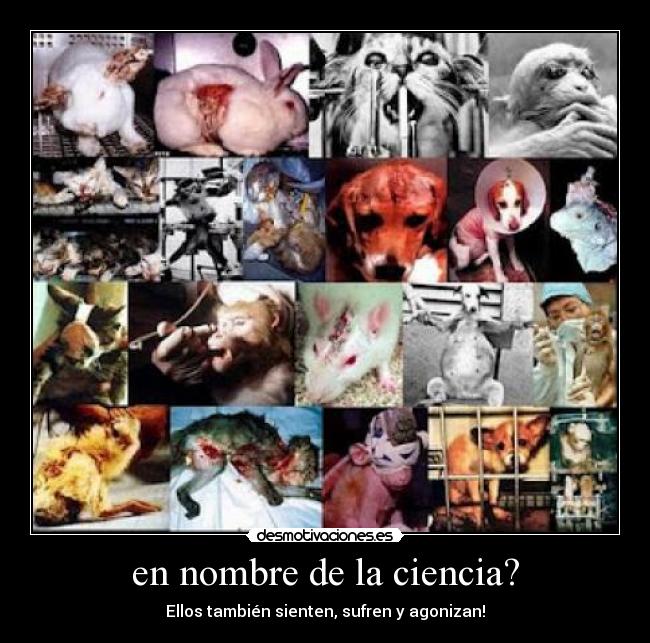 en nombre de la ciencia? - Ellos también sienten, sufren y agonizan!