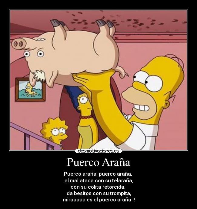 Puerco Araña -