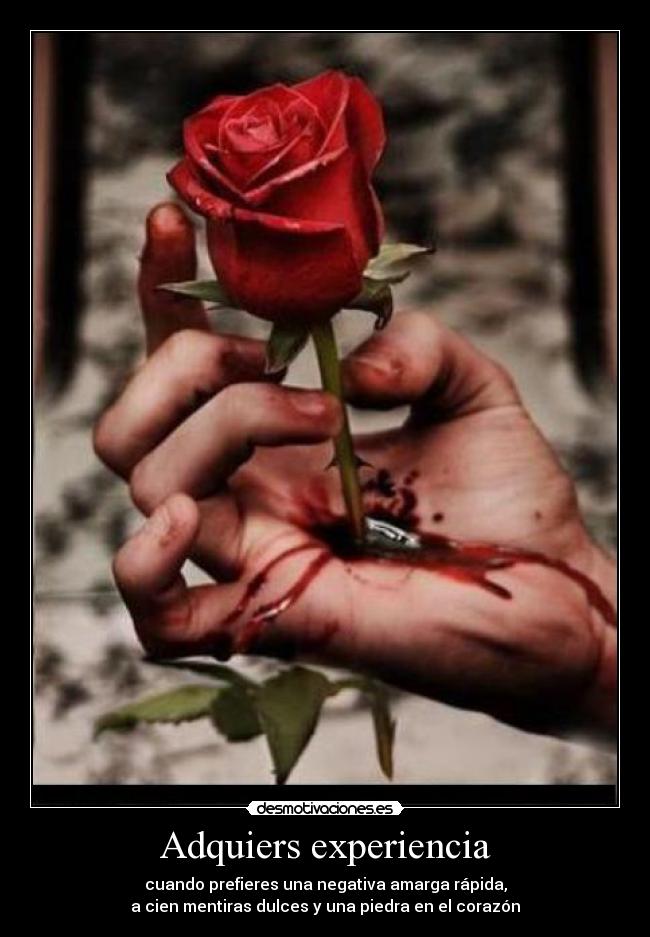 Adquiers experiencia - 