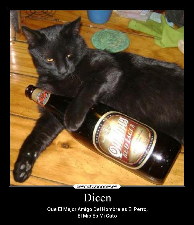 Dicen - 