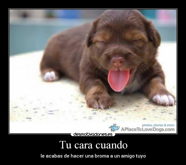 carteles joke desmotivaciones