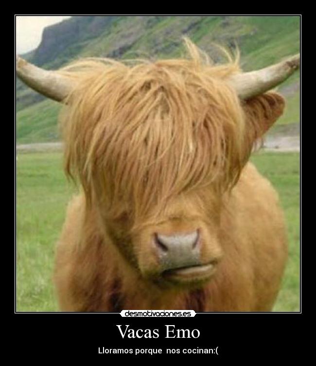 carteles vacas emo desmotivaciones