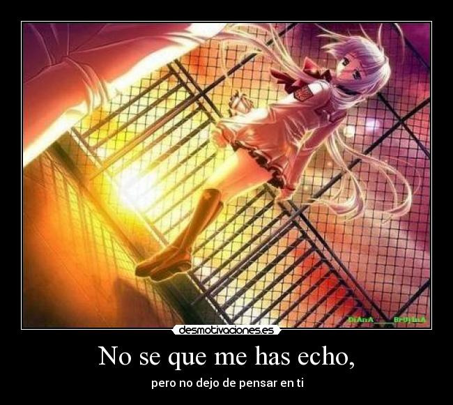 No se que me has echo, -