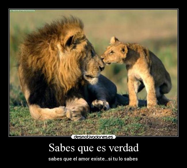 Sabes que es verdad - sabes que el amor existe...si tu lo sabes ♪