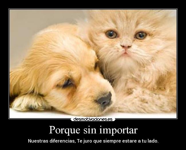Porque sin importar - 