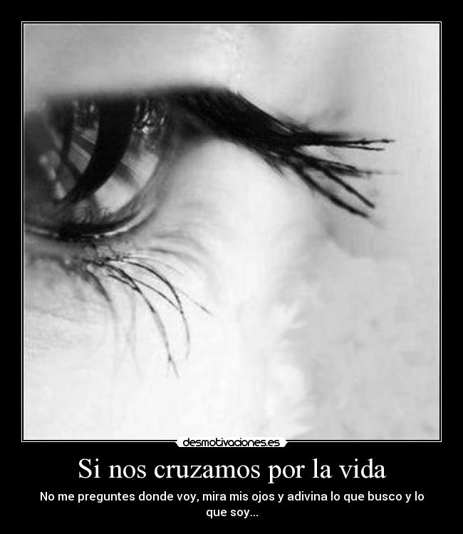 Si nos cruzamos por la vida - 