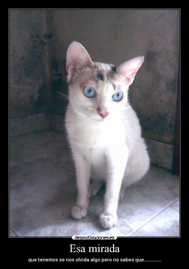 Esa mirada - que tenemos se nos olvida algo pero no sabes que...............