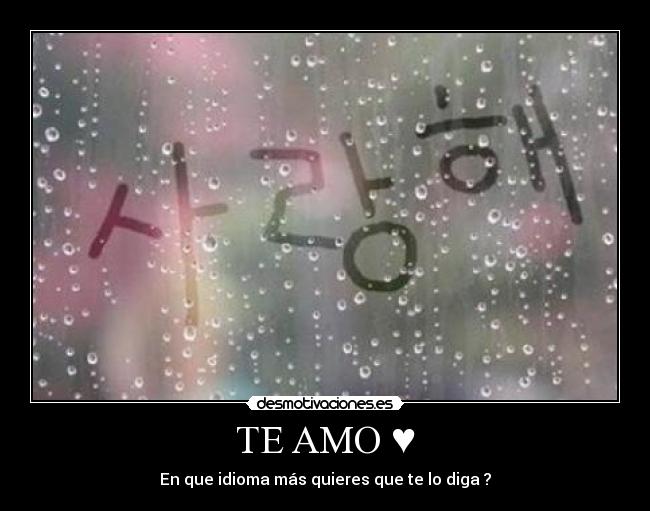 TE AMO ♥ -