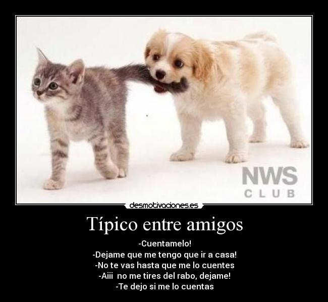 Típico entre amigos - -Cuentamelo!
-Dejame que me tengo que ir a casa!
-No te vas hasta que me lo cuentes
-Aiii no me tires del rabo, dejame!
-Te dejo si me lo cuentas