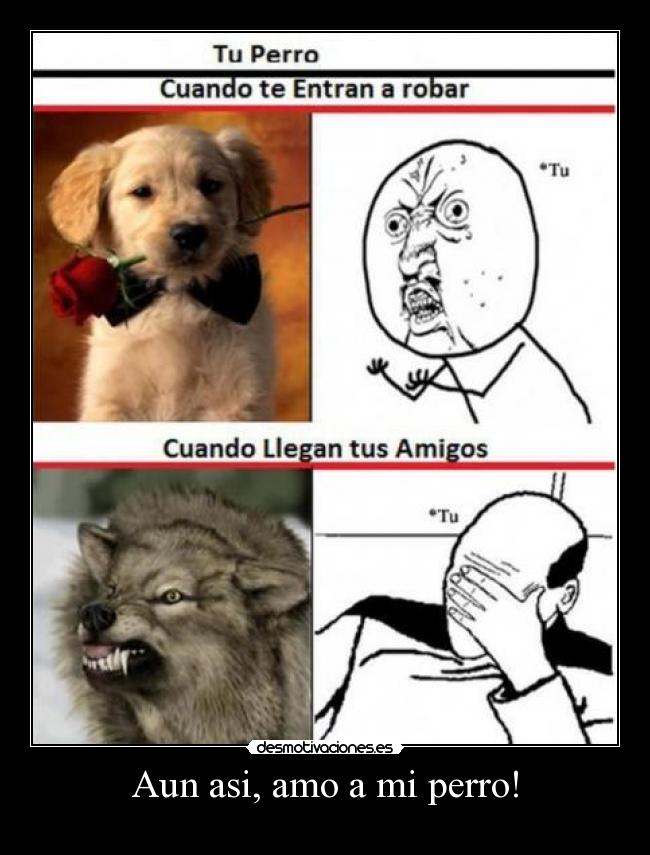 Aun asi, amo a mi perro! - 