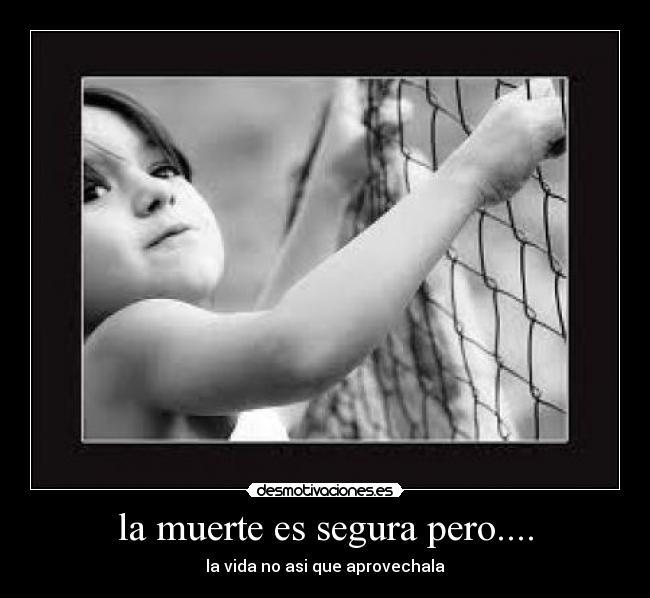 la muerte es segura pero.... - la vida no asi que aprovechala