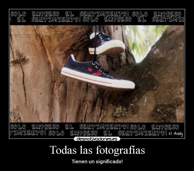 Todas las fotografías - 