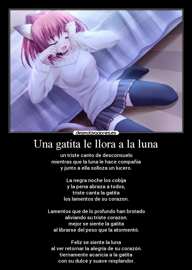 Una gatita le llora a la luna -