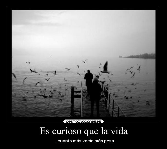 Es curioso que la vida -
