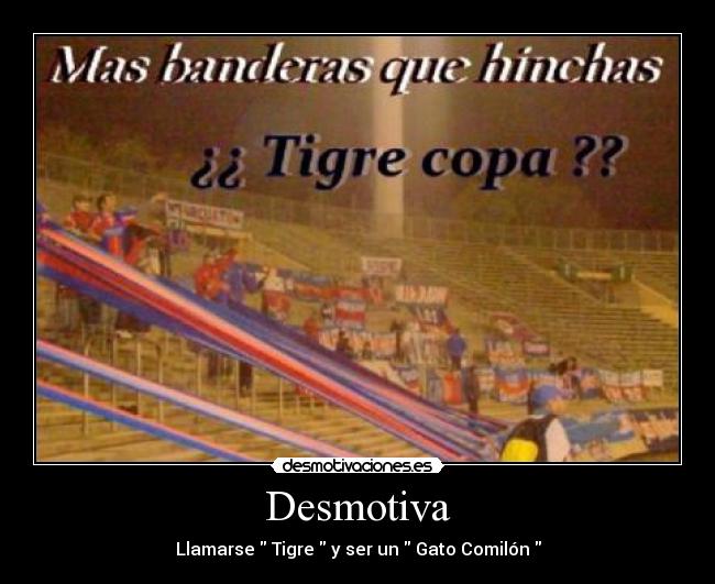 carteles tigre gato comilon futbol amargo pecho frios desmotivaciones