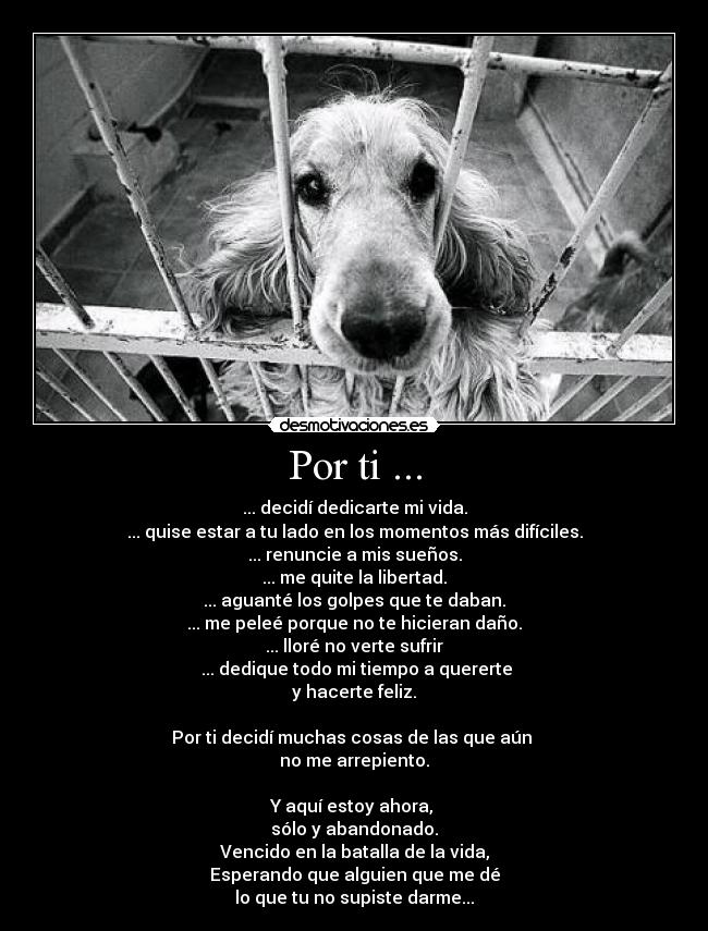 Por ti ... - ... decidí dedicarte mi vida.
... quise estar a tu lado en los momentos más difíciles.
... renuncie a mis sueños.
... me quite la libertad.
... aguanté los golpes que te daban.
... me peleé porque no te hicieran daño.
... lloré no verte sufrir
... dedique todo mi tiempo a quererte
y hacerte feliz.
Por ti decidí muchas cosas de las que aún
no me arrepiento.
Y aquí estoy ahora,
sólo y abandonado.
Vencido en la batalla de la vida,
Esperando que alguien que me dé
lo que tu no supiste darme...