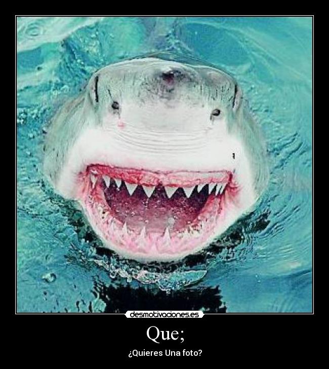 Que; - ¿Quieres Una foto?