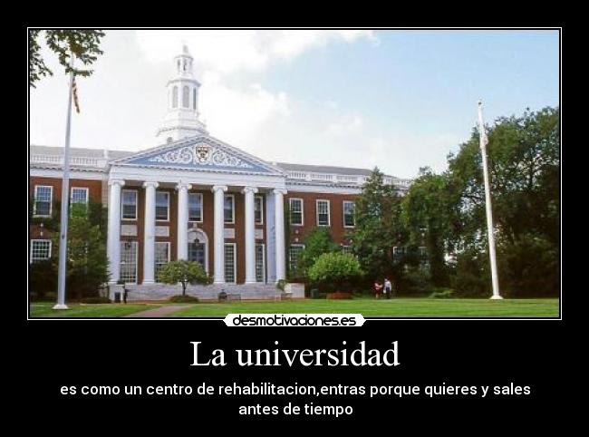 La universidad - es como un centro de rehabilitacion,entras porque quieres y sales antes de tiempo