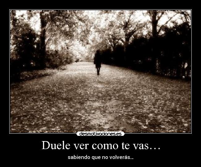 Duele ver como te vas… - sabiendo que no volverás…