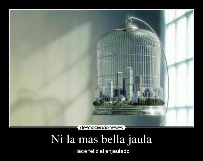 Ni la mas bella jaula - Hace feliz al enjaulado