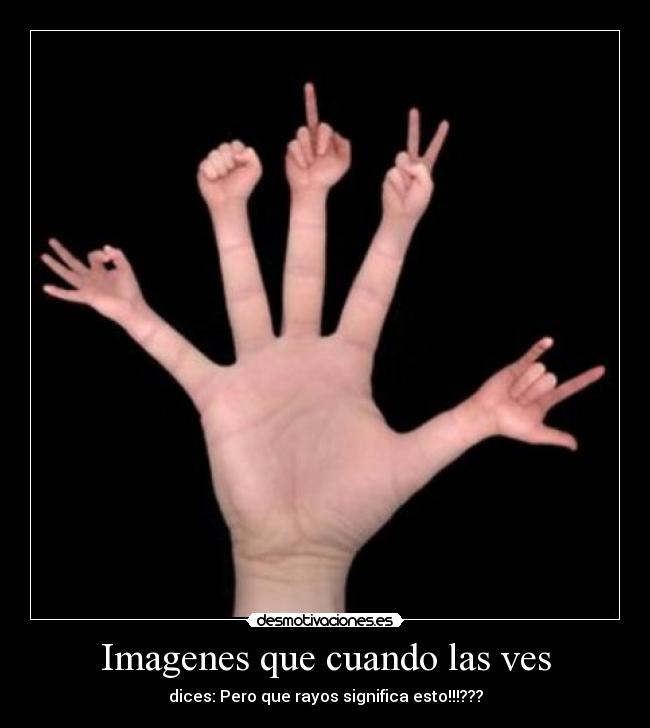 Imagenes que cuando las ves - dices: Pero que rayos significa esto!!!???