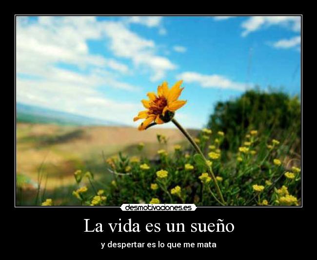 La vida es un sueño - 